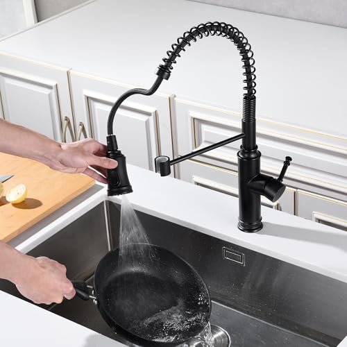 Pull Out Spring Sprayer Kitchen Sink Faucet with 360° Rotating Spout and Single Level Handle