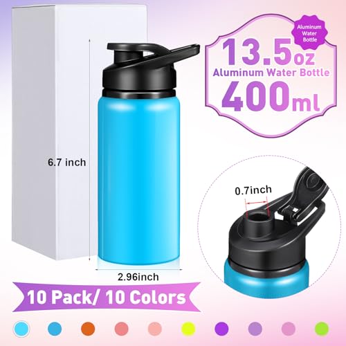 10 Pcs 13.5oz Aluminum Water Bottles Bulk (10 Count)