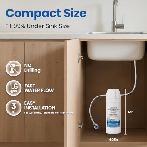 Under Sink Water Filter System