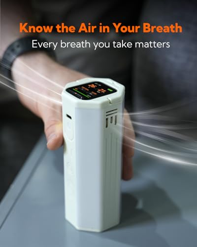 Portable Air Monitor