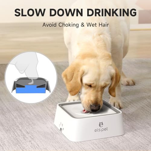 White 2L Dog Water Bowl
