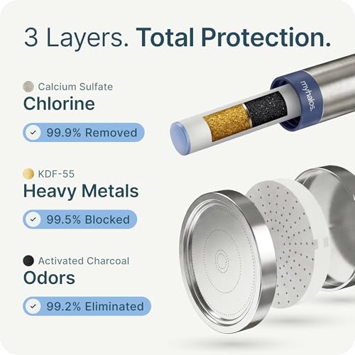 Handheld Filtered Shower Head