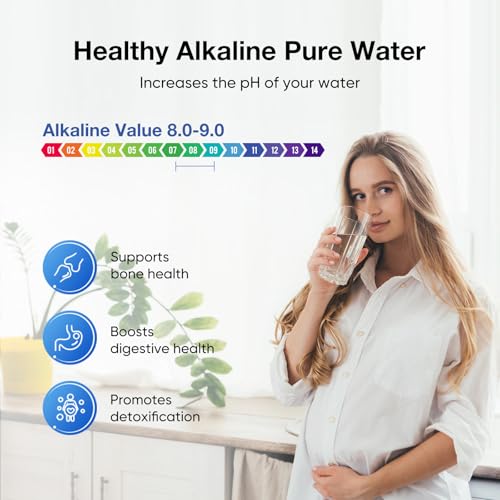 PH-2 White 3-Stage Alkaline Filter Elements, Additional filters for Berlkey® Black Filters, Berlkey® Gravity Filtration System and Purewell System, pH 8-9 (2 Pack, K Series) (2 Count)
