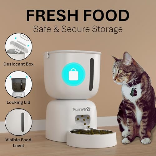 Automatic Cat Feeder and Water Fountain Set