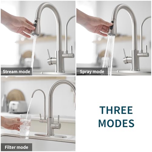 Kitchen Faucets with Water Filter and Pull Down Sprayer