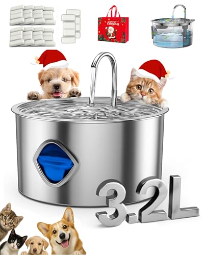 Dog Bowl for Small Dogs