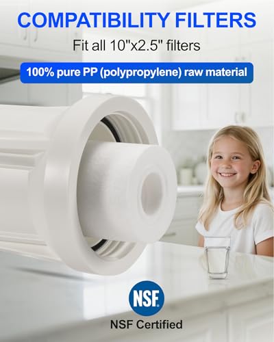 Under Sink Water Filtration System