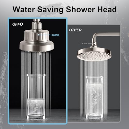 Filtered Shower Head