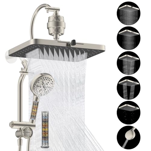 5 spray Dual Filtered Rainfall Shower Head with 10 Spray Handheld