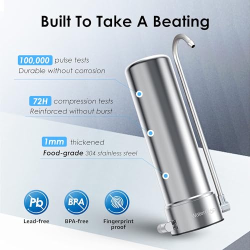 CTF 01 Water Filter for Sink Faucet (2 Count)