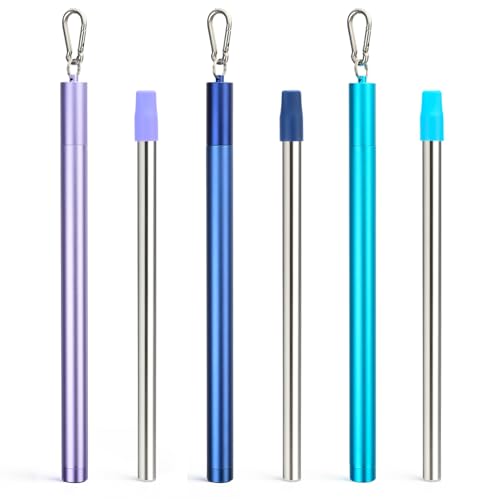 Stainless Steel Water Filter Straws (3 Count)