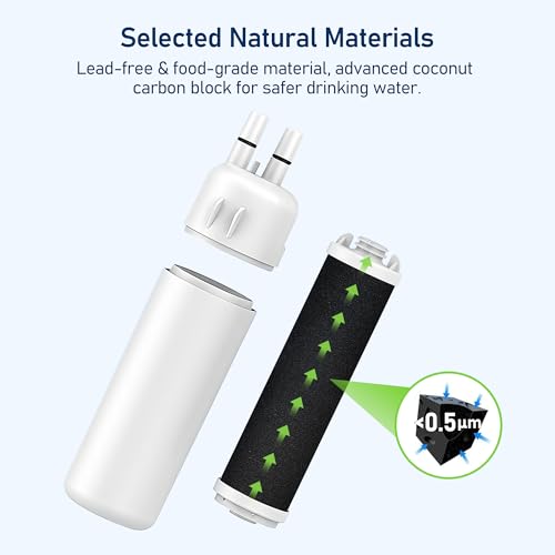 WHR1RXD1 Water Filter Replacement (2 Count)