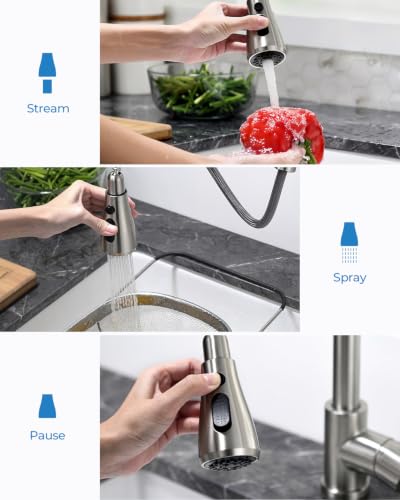 Kitchen Faucet with Pull Down Sprayer