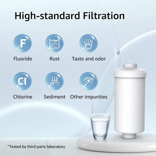 Fluoride Water Filter (2 Count)