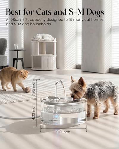 Glass Cat Water Fountain (108 Fl Oz)