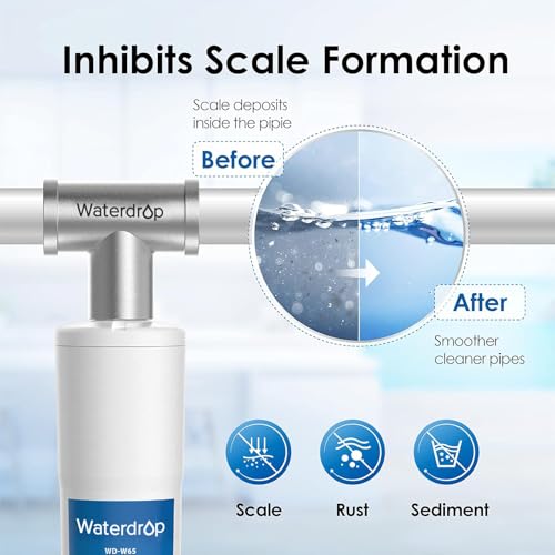 AP431 Whole House Scale Inhibitor with Adapter