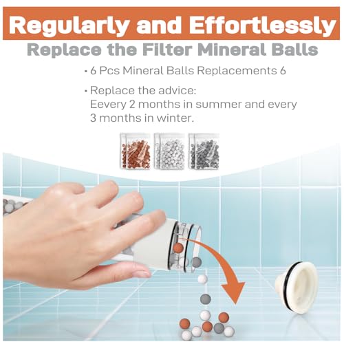Filtered Handheld Showerhead with Shower Holder Set