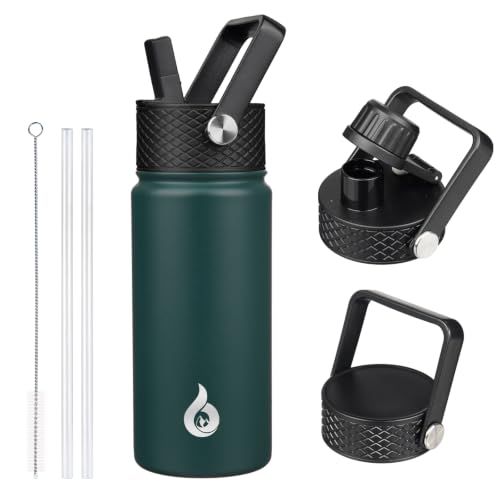 18oz Insulated Water Bottle with Straw Lid