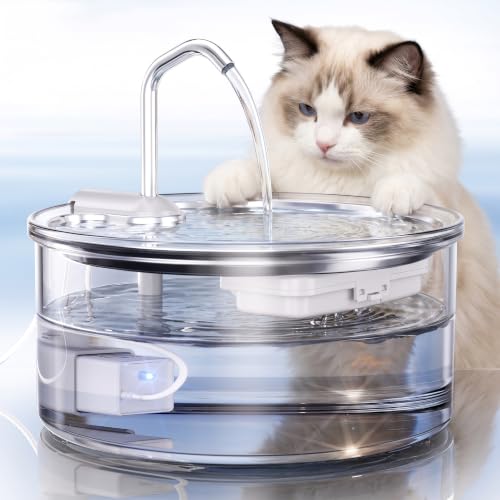 Glass Cat Water Fountain (108 Fl Oz)