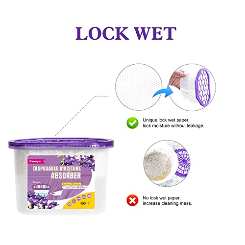 Moisture Absorber Box