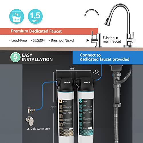 DW15F Under Sink Water Filter System with Brushed Nickel Faucet