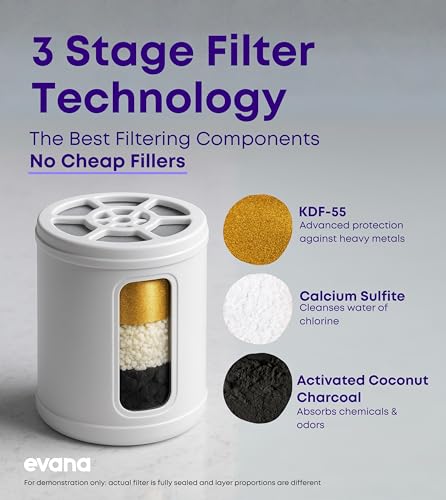 Filtered Shower Head with Filters