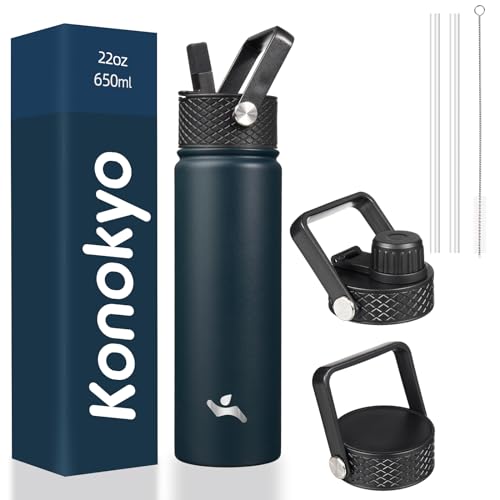 22 oz Insulated Stainless Steel Water Bottle with Straw Lid