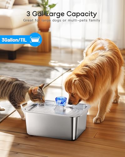 Large Dog Water Fountain Dispenser