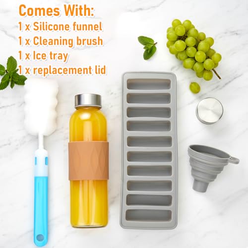 18oz Glass Juice Bottles with Stainless Steel Lid Leak Proof 10 Pack (10 Count)