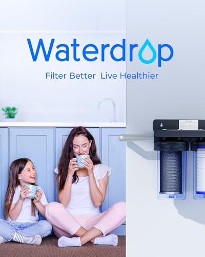 WF10BG Whole House Water Filter for WHF21 (2 Count)