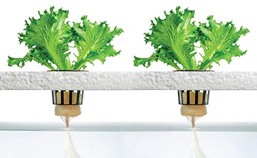 4 Stage - Hydroponics Reverse Osmosis Water Filtration System | 100 GPD | Water Purifier for Indoor or Outdoor Garden Use | Hydroponics Growing System by Oceanic Water Systems