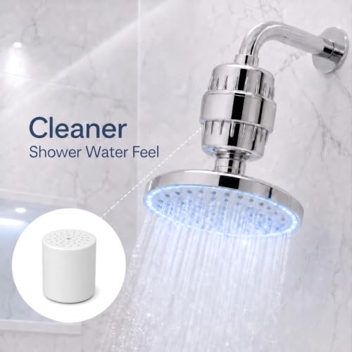 Shower Filter Replacement Cartridge (4 Count)