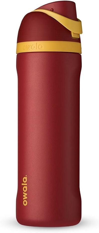 Harry Potter FreeSip Stainless Steel Water Bottle 24 oz Gryffindor
