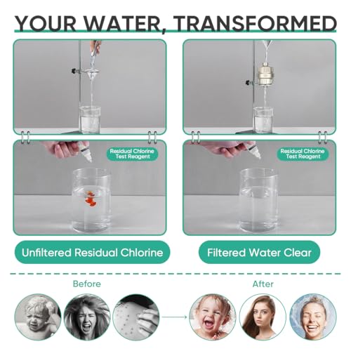 HD HEAVY DUTY High Output Shower Filter 2 Pack