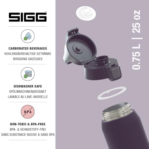 Insulated Water Bottle