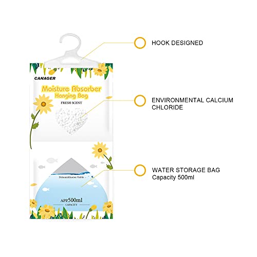 Moisture Absorber (12 Count)