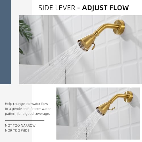 High Flow Shower Head Adjustable