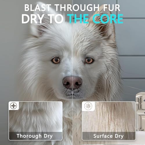 High Velocity Dog Hair Dryer