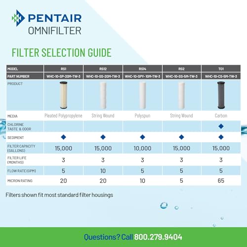 Pentair OMNIFilter Whole Home Valve