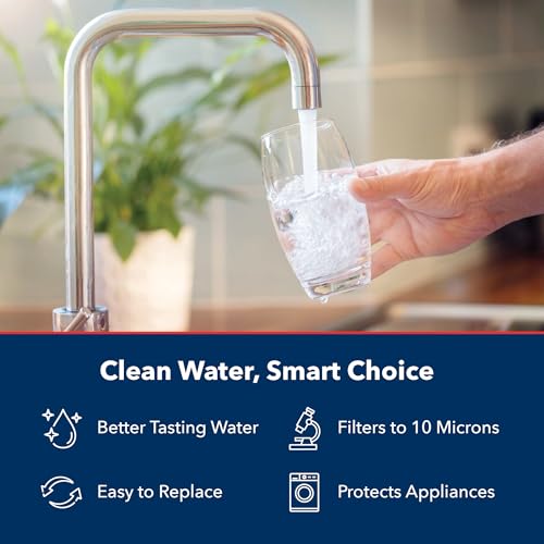 US Water Systems Carbon Water Filter (2 Count)