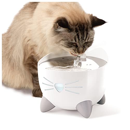 PIXI Smart Water Fountain