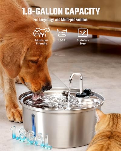 Dog Water Fountain Stainless Steel