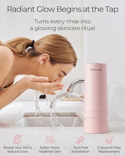 BFC3 Lite Bathroom Sink Filter Water Faucet for Skincare