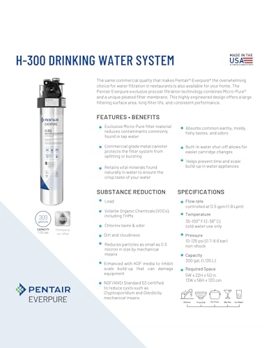 Pentair Everpure H