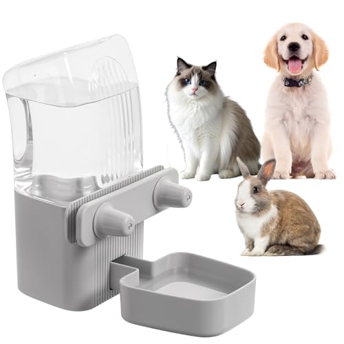 50oz Rabbit Water Dispenser