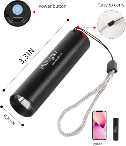 4 Pack Rechargeable Black Flashlight Small UV Black Flash Light 395 NM (4 Count)