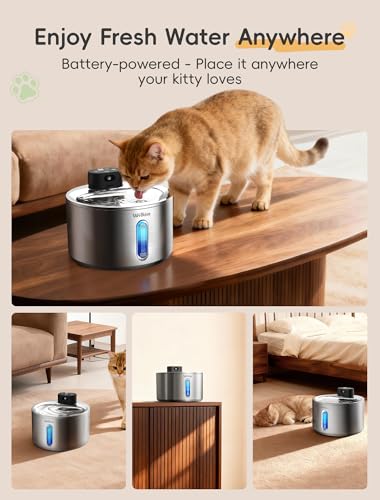 Stainless Steel Cat Water Fountain