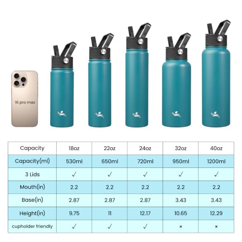 22 oz Insulated Stainless Steel Water Bottle with Straw Lid