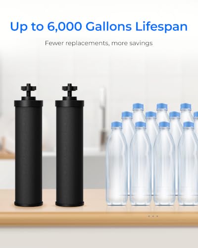Silver Ions Black Water Filter (2 Count)