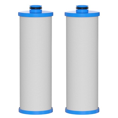 KW1 RV Water Filter 2.5 x 10